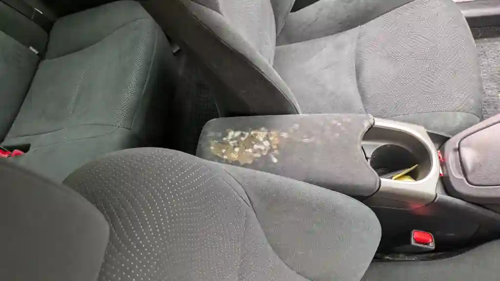 プリウス車内のカビ